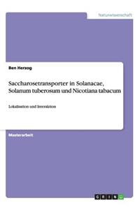 Saccharosetransporter in Solanacae, Solanum tuberosum und Nicotiana tabacum