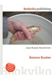 Sonora Sucker