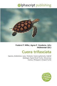 Cuora Trifasciata