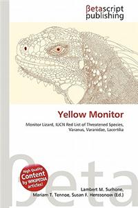 Yellow Monitor