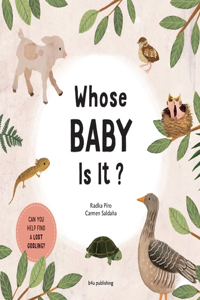 Whose Baby Is It?