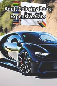 Adult Coloring Book Expensive Cars