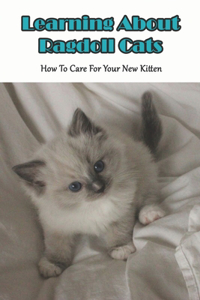 Learning About Ragdoll Cats_ How To Care For Your New Kitten