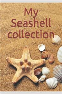 My Seashell collection