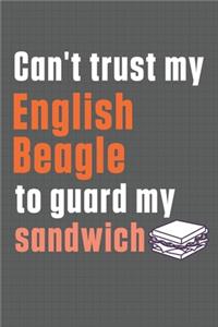 Can't trust my English Beagle to guard my sandwich