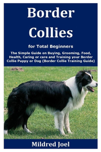 Border Collies for Total Beginners