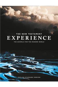 The New Testament Experience