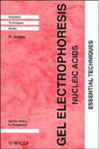 Gel Electrophoresis