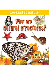 What Are Natural Structures?
