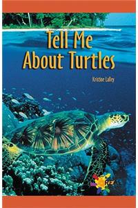 Tell Me about Turtles