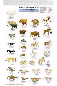 Mac's Field Guides: North American Land Mammals