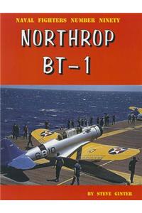 Northrop Bt-1: Navy Dive Bomber