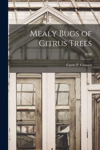Mealy Bugs of Citrus Trees; B258