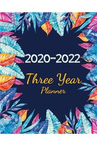 2020-2022 Three Year Planner