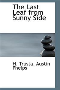 The Last Leaf from Sunny Side