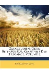 Gangstudien, Oder, Beitrage Zur Kenntniss Der Erzgange, Volume 3
