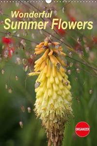 Wonderful Summer Flowers 2016