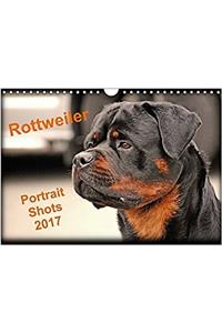 Rottweiler Portait Shots 2017: Rottweiler Portrait Head Shots (Calvendo Animals)