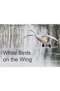 White Birds on the Wing 2018