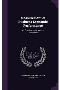 Measurement of Business Economic Performance