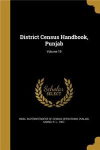 District Census Handbook, Punjab; Volume 19