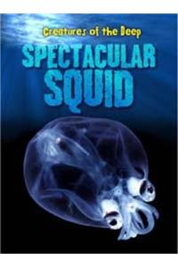 Spectacular Squid