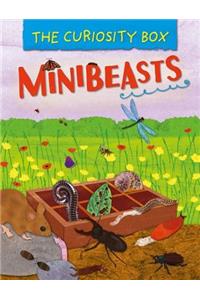 The Curiosity Box: Minibeasts