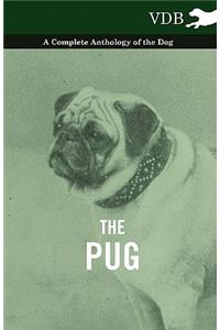 Pug - A Complete Anthology of the Dog