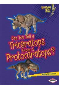 Can You Tell a Triceratops from a Protoceratops