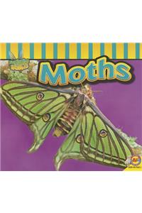 Moths