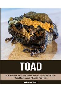 Toad