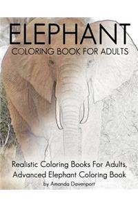 Elephant Coloring Book For Adults