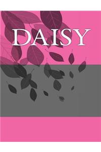 Daisy