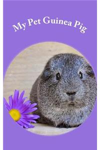 My Pet Guinea Pig