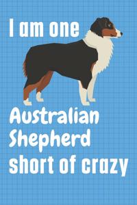 I am one Australian Shepherd short of crazy