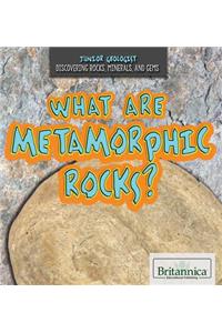 What Are Metamorphic Rocks?