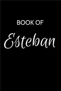 Esteban Journal