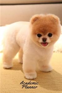 Cute Dog