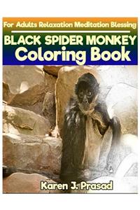 BLACK SPIDER MONKEY Coloring book for Adults Relaxation Meditation Blessing