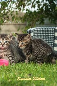 Summer Kittens