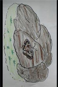 Die Sieben Füchse Von Weißenfels Und Die Augen Des Apollo