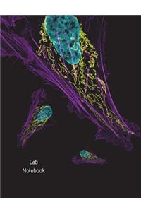 Lab Notebook