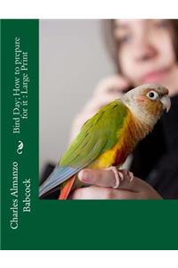 Bird Day; How to prepare for it