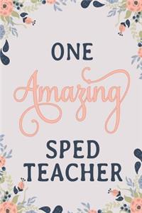 One Amazing Sped Teacher