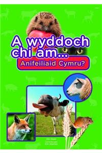 Cyfres a Wyddoch Chi: A Wyddoch Chi am Anifeiliaid Cymru?