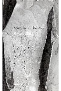 Sculpture in Black Ice