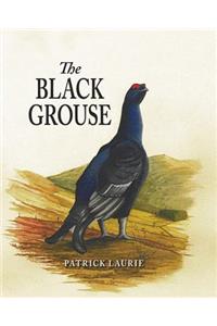 The Black Grouse