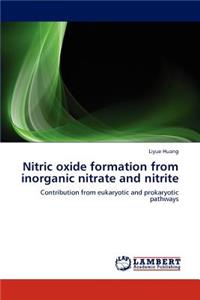 Nitric oxide formation from inorganic nitrate and nitrite