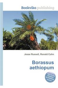 Borassus Aethiopum