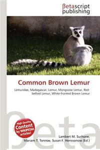 Common Brown Lemur